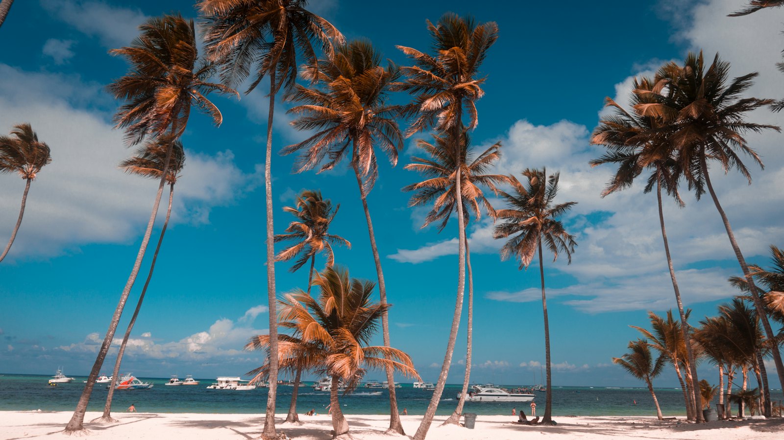 Tall coconut palms over the white sand of Bavaro Beach, Punta Cana, under a deep blue sky, with boats moored on the water beyond.
