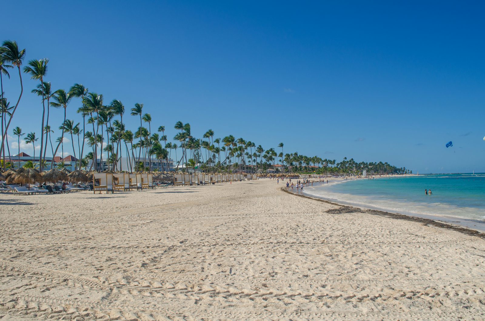 A wide, empty stretch of white sand in Punta Cana lined with tall palms and thatched palapas, clear water and a bright blue sky.